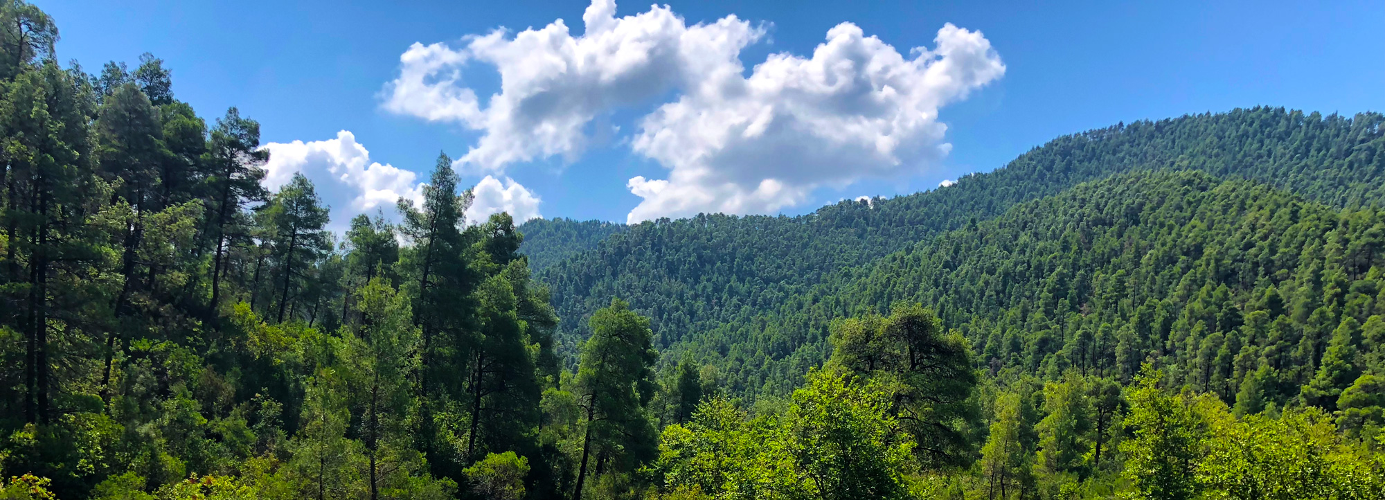 Evia nature, sky and green mountain